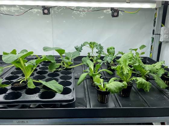 VertiGrow Vertical Farming Lab