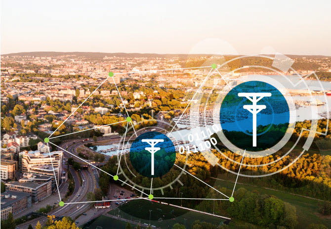 Smart grid development and asset management (WP1)