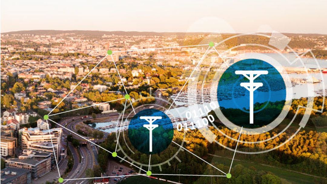 Smart grid development and asset management (WP1)