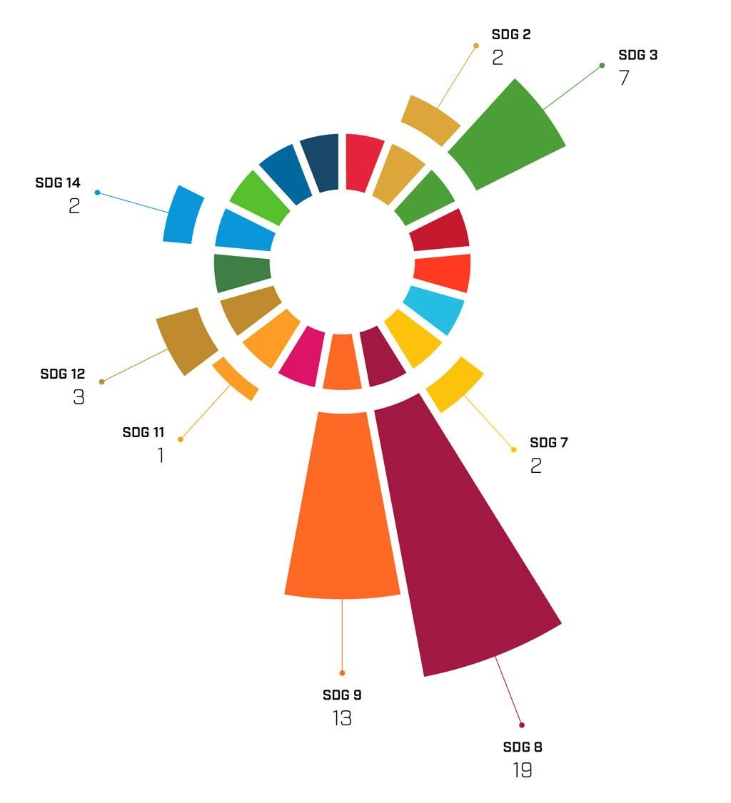 SINTEF's portfolio of nineteen research-based start-up companies mapped towards the SDGs. Companies are tagged with several goals per company.