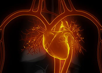 Med innsikt i hjertet 