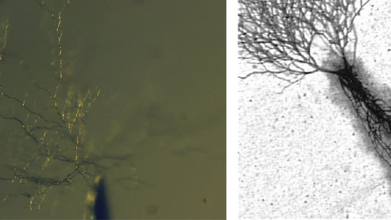 ET-03: Miljøvennlig isolasjon for strømkabler