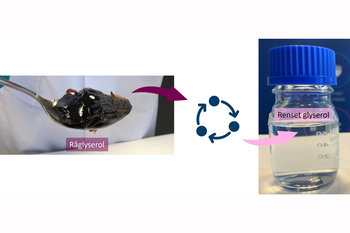 ReCirc4Future – Harnessing novel processing tools to reveal a fully circular approach for total utilisation of side streams from the omega-3 industry