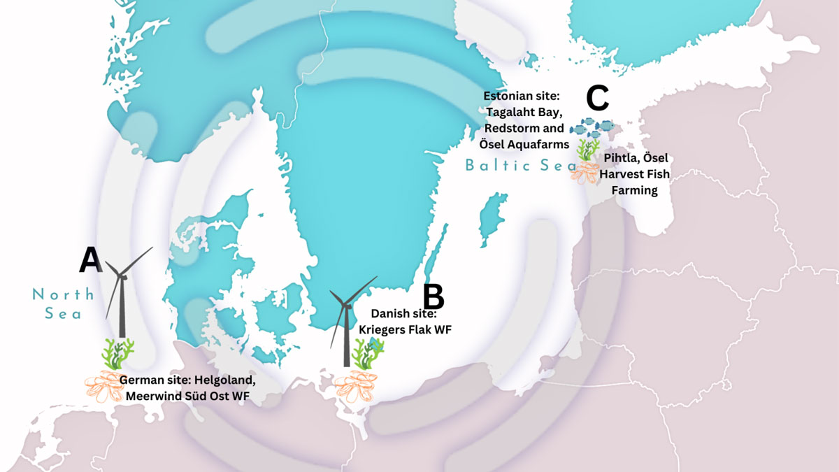 Map showing three case sites off the coasts of Germany, Denmark og Estonia.