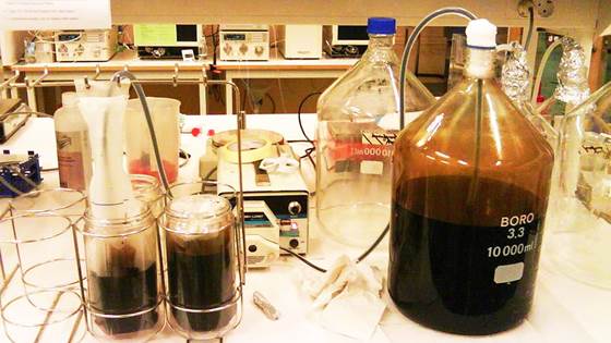 Ancient microbes with industrial potential