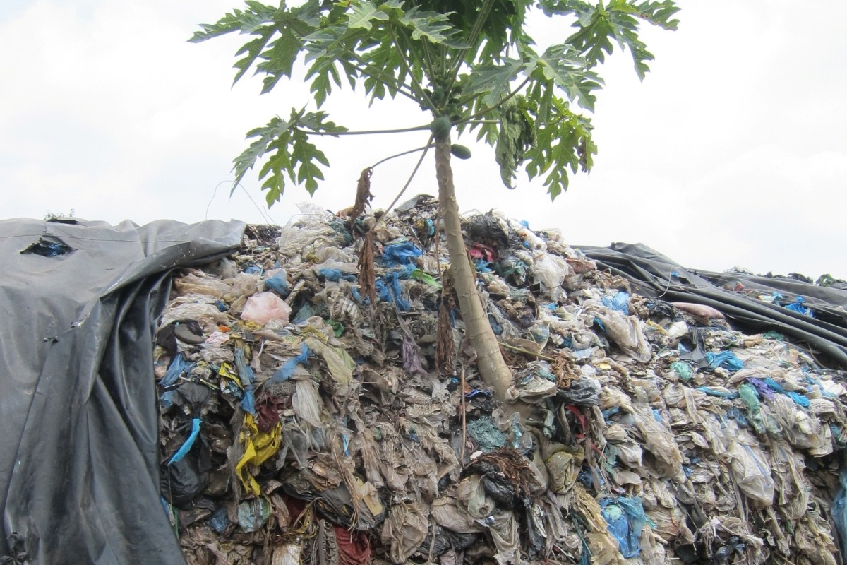 Norsk forskning bidrar til å vise vei ut av verdens plastkrise