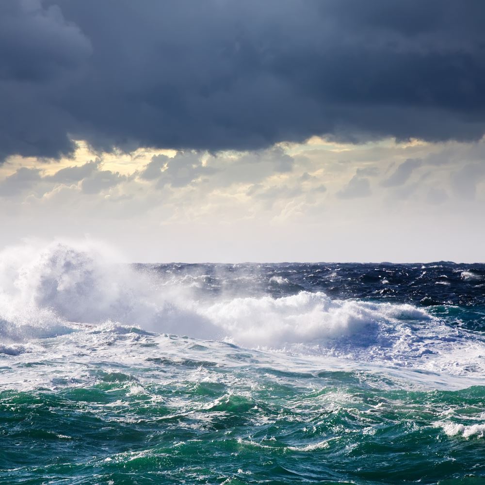 The North Sea as a test bed for the green transition