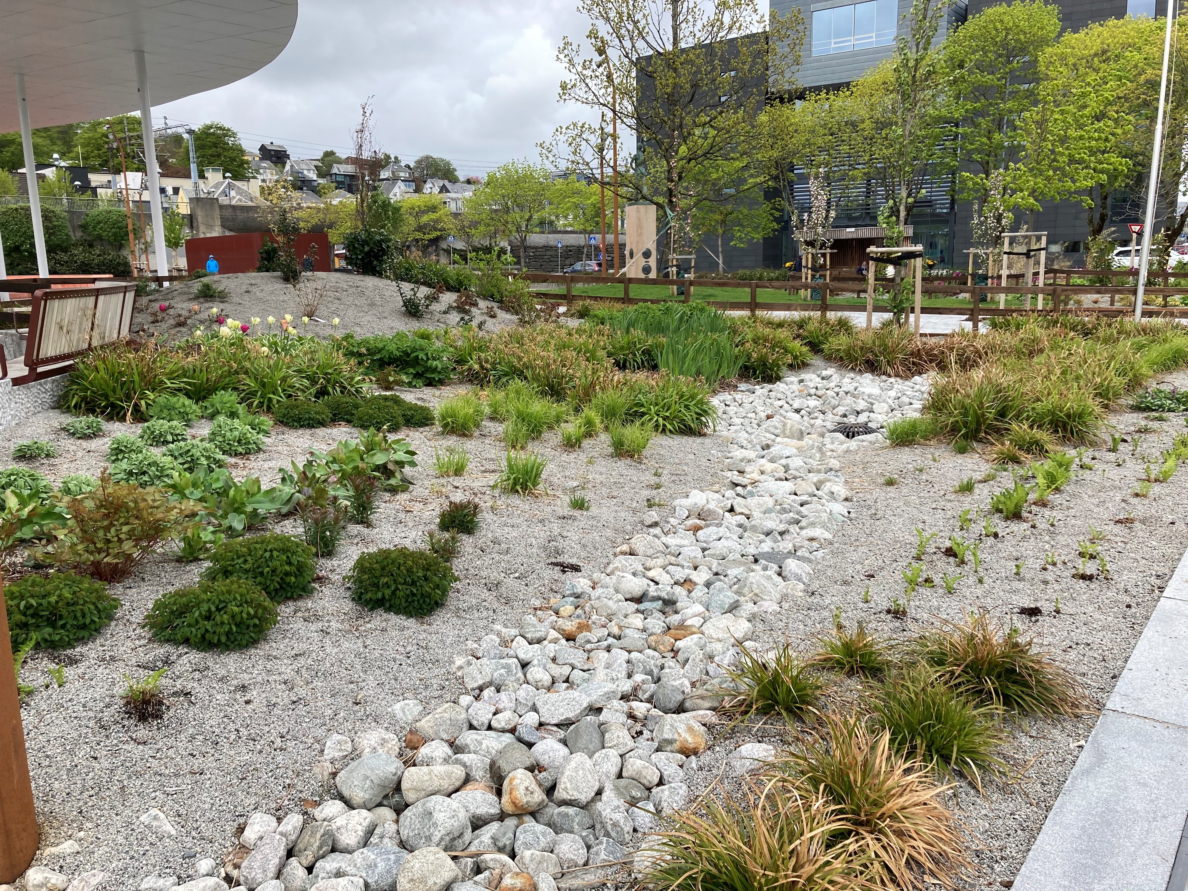 Regnbed for overvannshåndtering