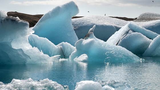 Arctic Frontiers
