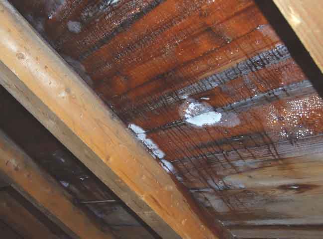 Unngå fukt og mugg på plater ved rehabilitering av kalde loft