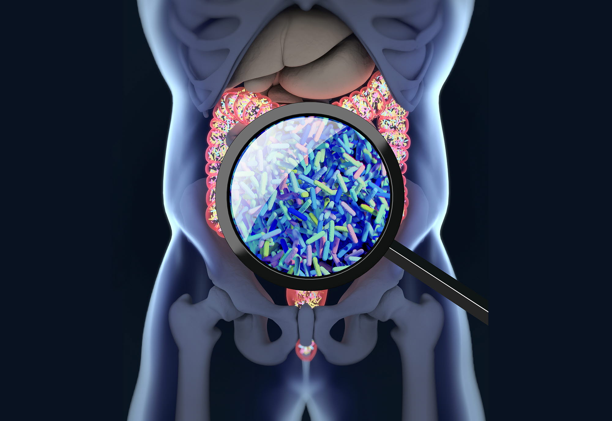 SIP GUT: Utvikling av verktøy for tarm-mikrobiota forskning