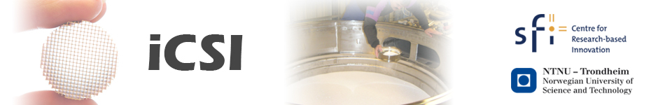 iCSI - Centre for Industrial Catalysis Science and Innovation