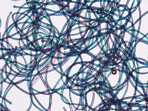 MICROFIBRE: Evaluating the fate, effects and mitigation measures for microplastic fibre pollution in aquatic environments