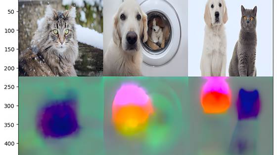 Principal Feature Visualization – what goes on in convolutional neural networks?