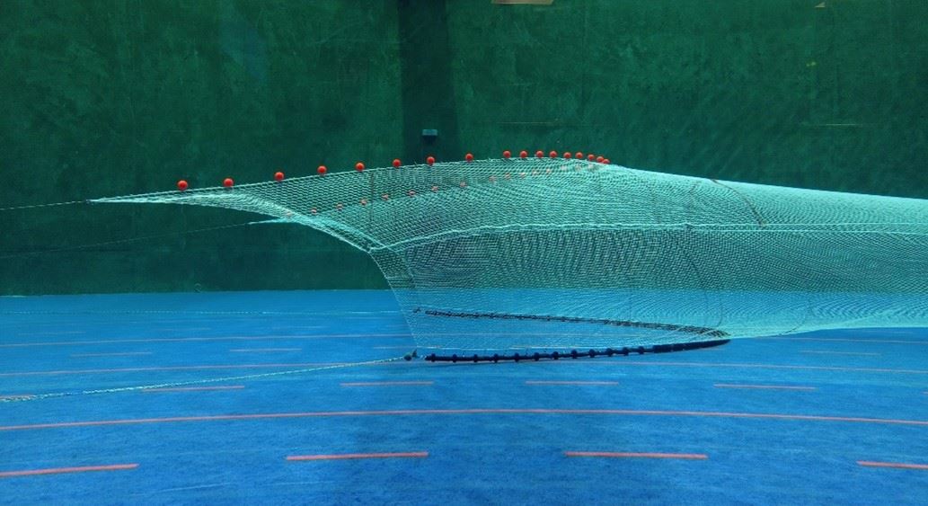 Green trawl in blue flume tank.
