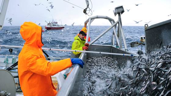 Klimaregnskap for norsk sjømatnæring