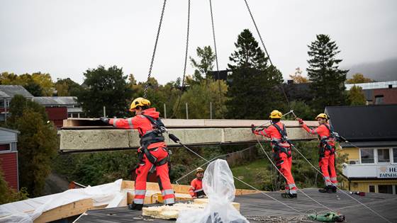 Fikk forsker til låns og fant den mest miljøvennlige måten å bygge en vegg på