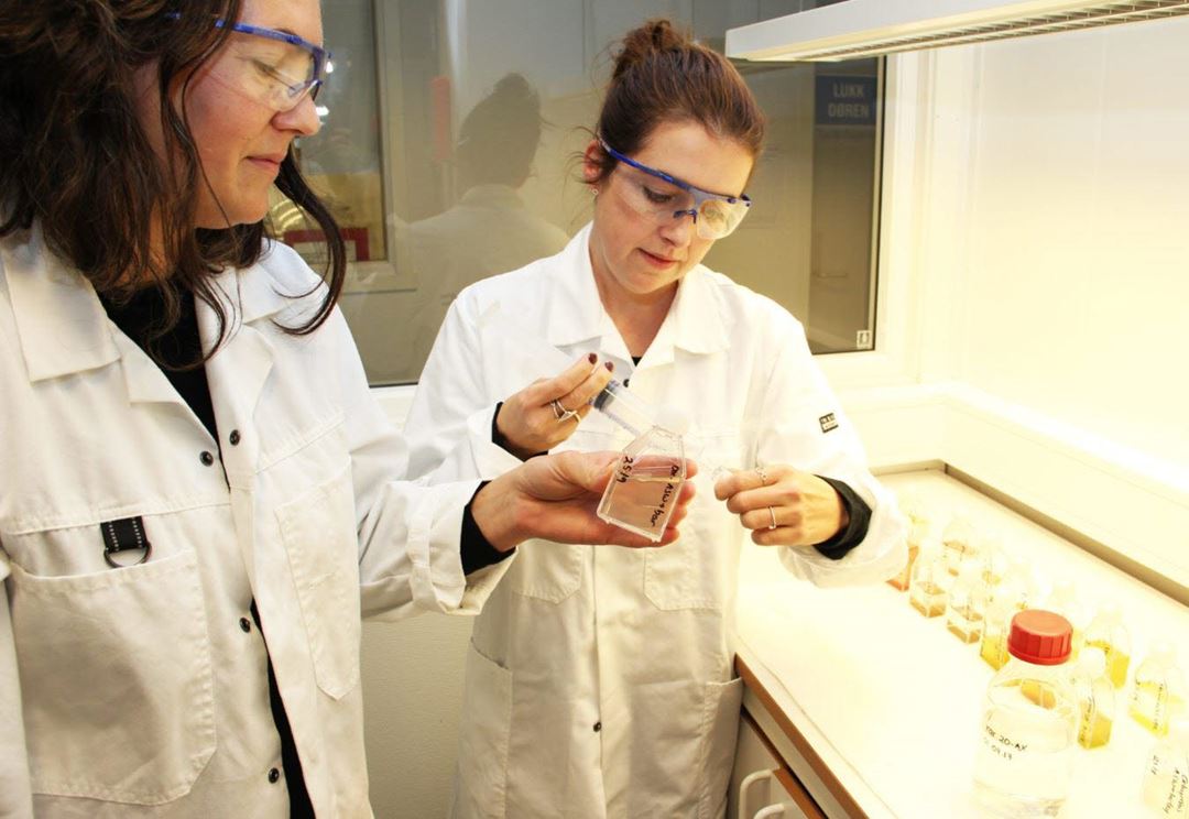 Researchers looking at water samples