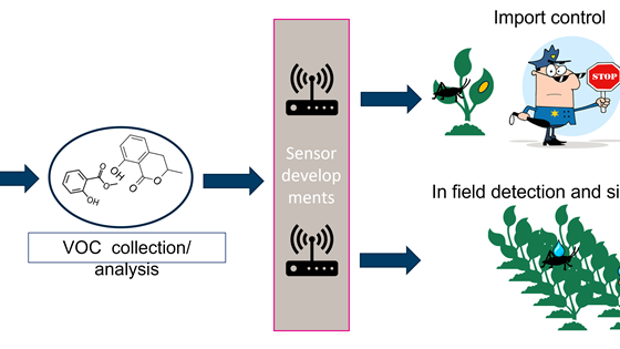 PurPest - Plant pest prevention through technology-guided monitoring and site-specific control