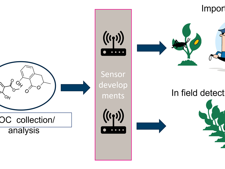 PurPest - Plant pest prevention through technology-guided monitoring and site-specific control