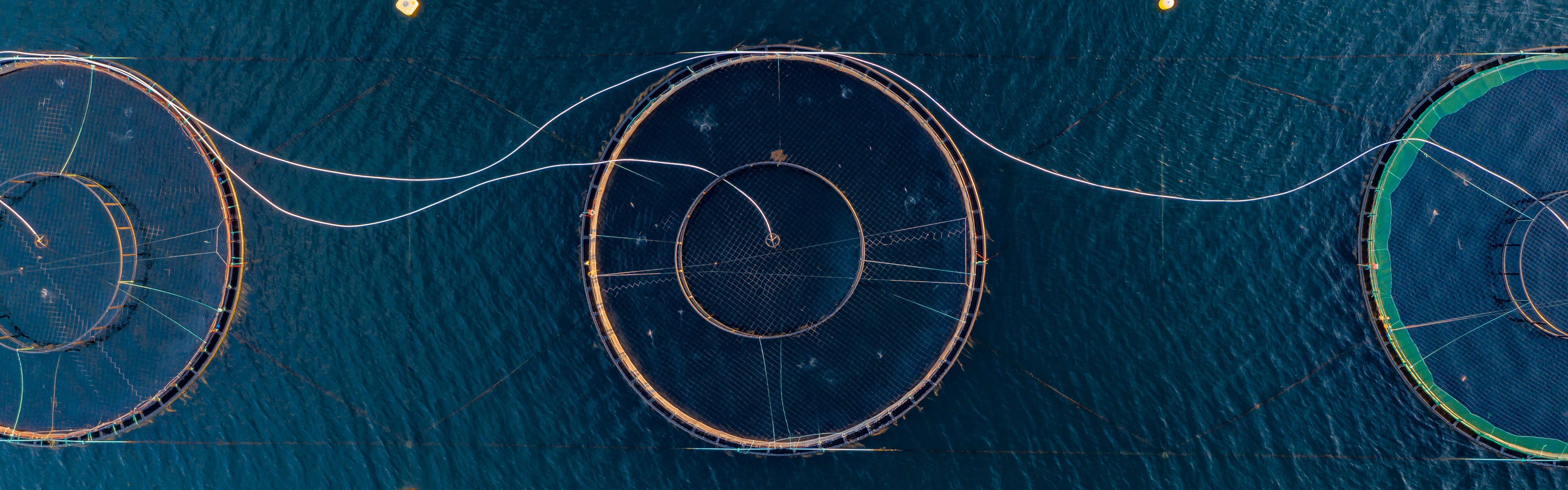 FLOslam - Solutions for sludge collection from closed containment systems at sea and their implications for the external environment