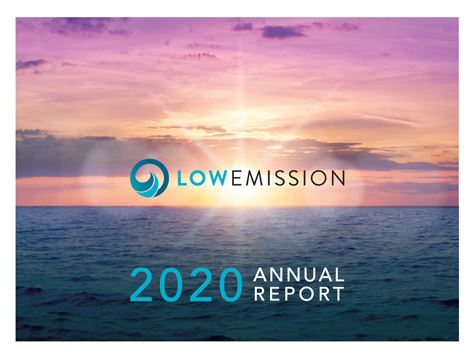 LowEmission 2020 annual report cover