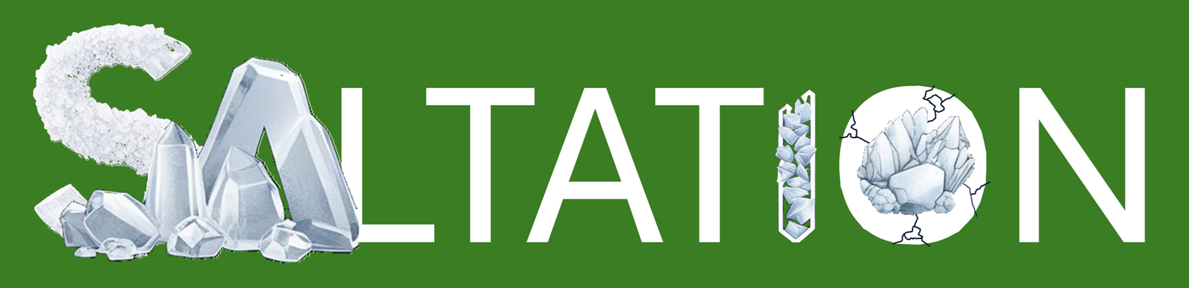 SALTATION - Multifysikkbeskrivelse for saltutfelling under CO₂-lagring