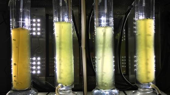 AMROCE -Nanoenabled strategies to reduce the presence of contaminants of emerging concern in aquatic environment