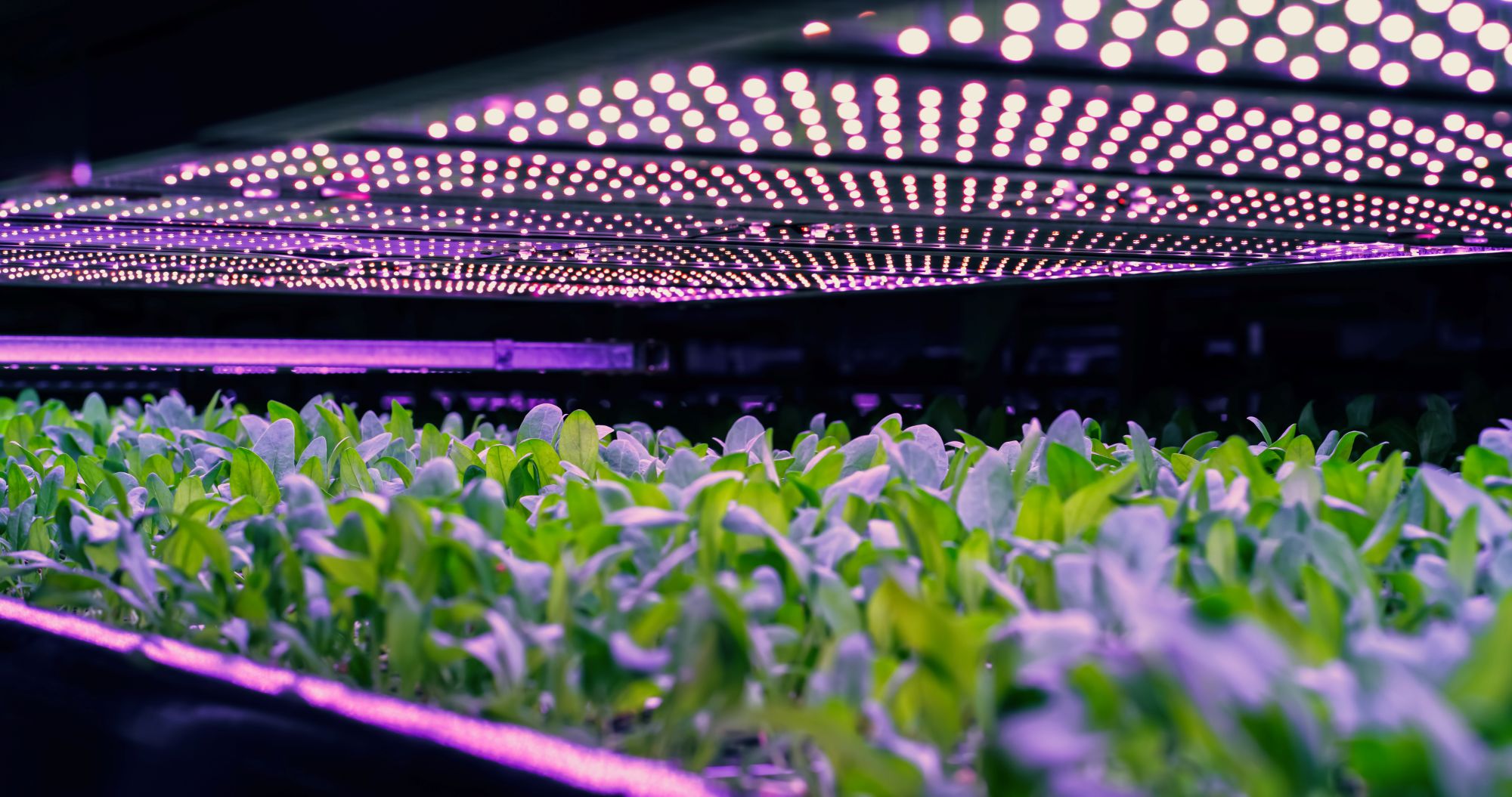 FlexiFarm: Flexible Farming Solutions to Minimize Energy Expenditure