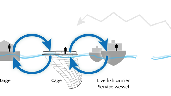 SustainFarmEx – Towards Sustainable Fish Farming at Exposed Marine Sites