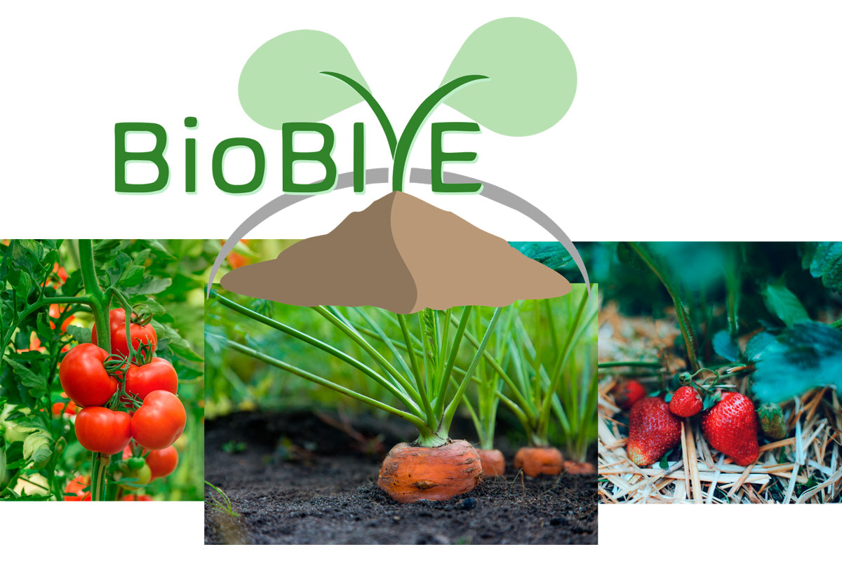 BioBIVE - Biodegradable delivery systems for plant pathogens control of horticultural crops through bioactive agents