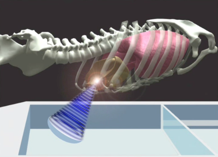 Destroying tumours with ultrasound