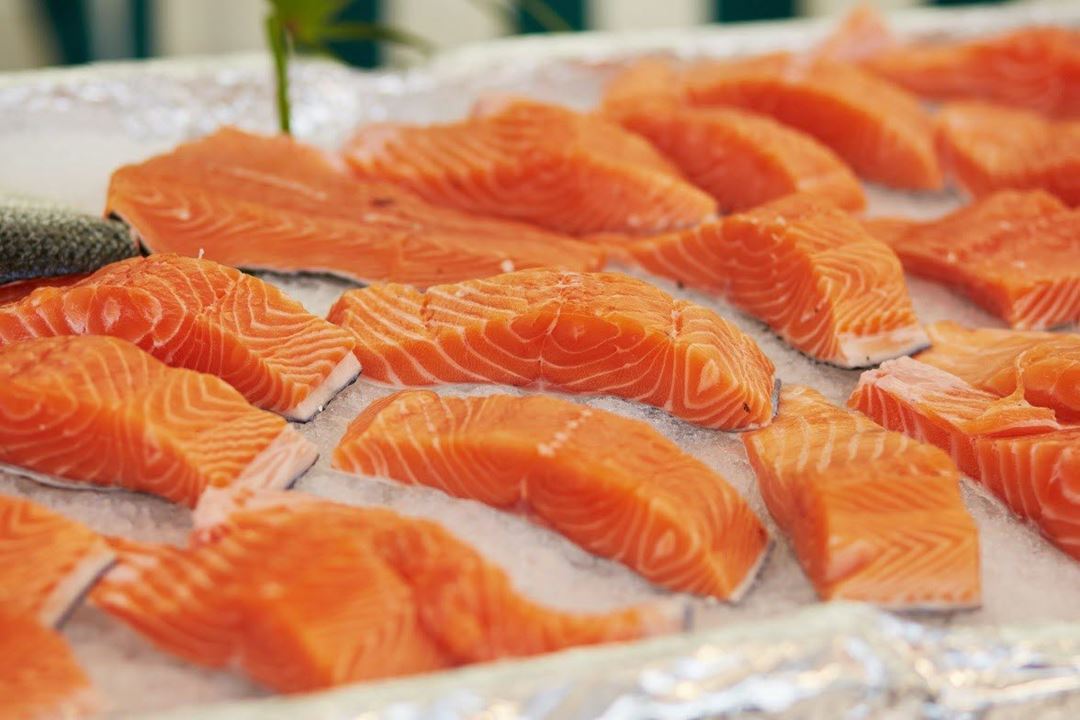 Picture of filets of salmon