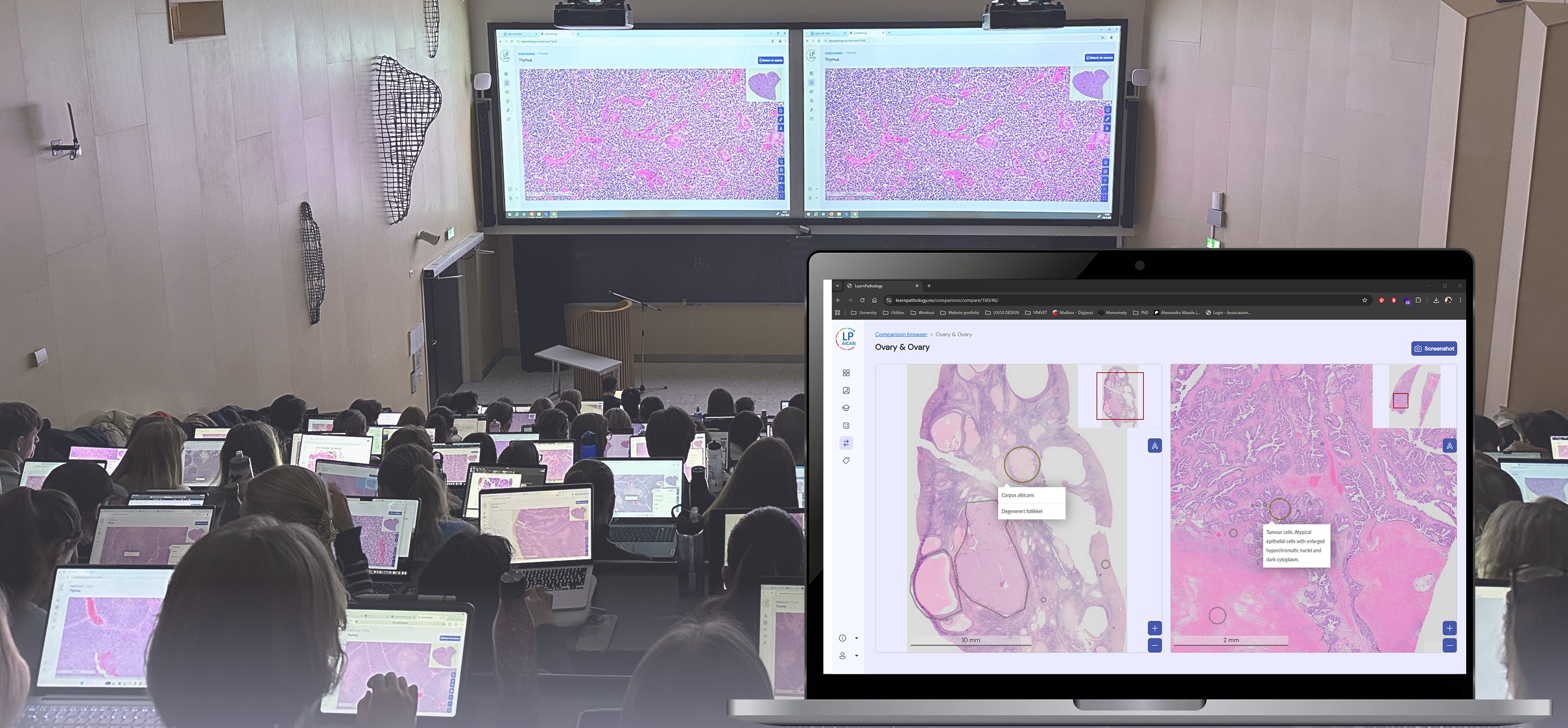 LearnPathology - et digitalt læringsverktøy