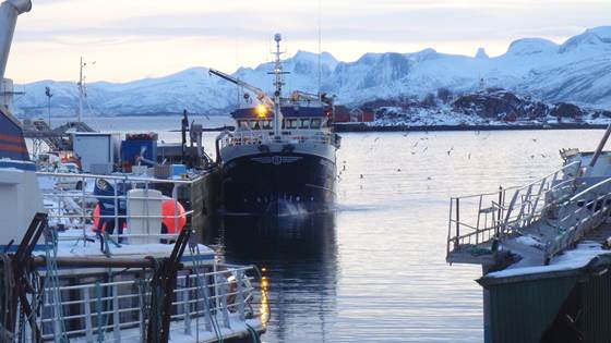 Innovasjon og kompetanse i sjømatnæringen