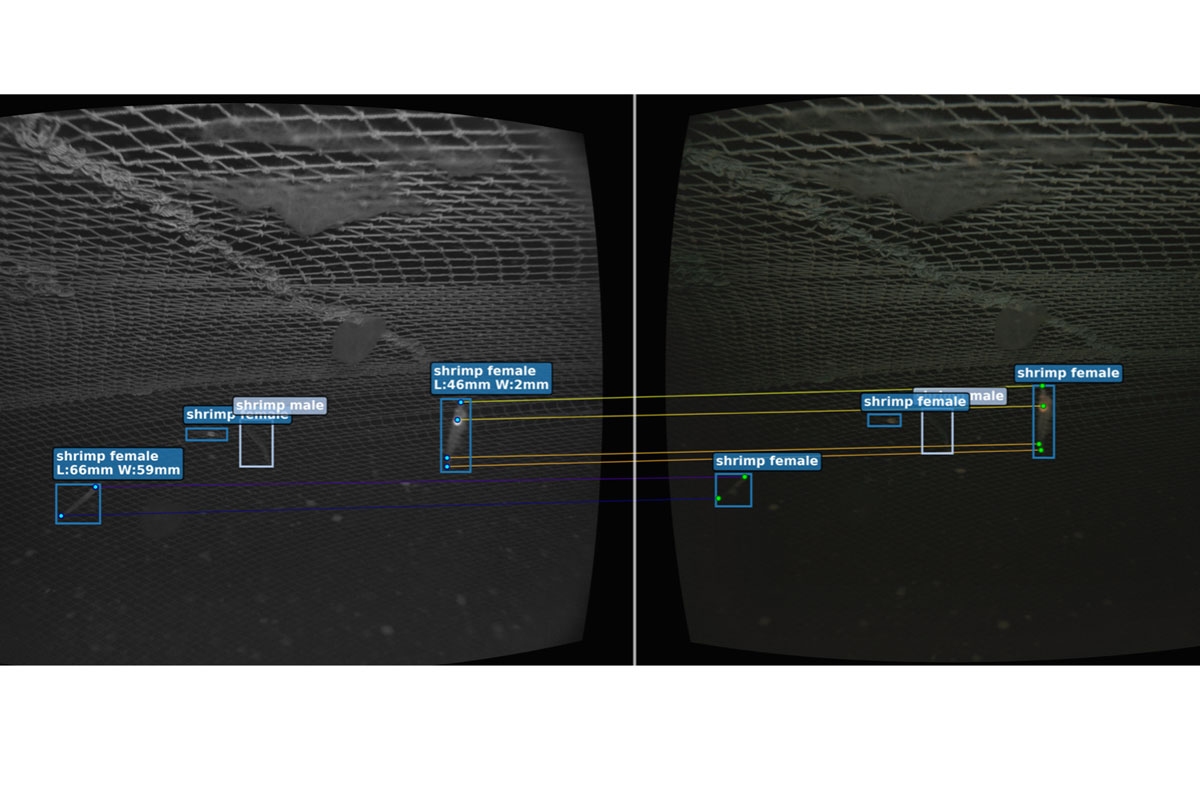 SANNTRÅL – Real-time monitoring technology for decision support in trawl fishing