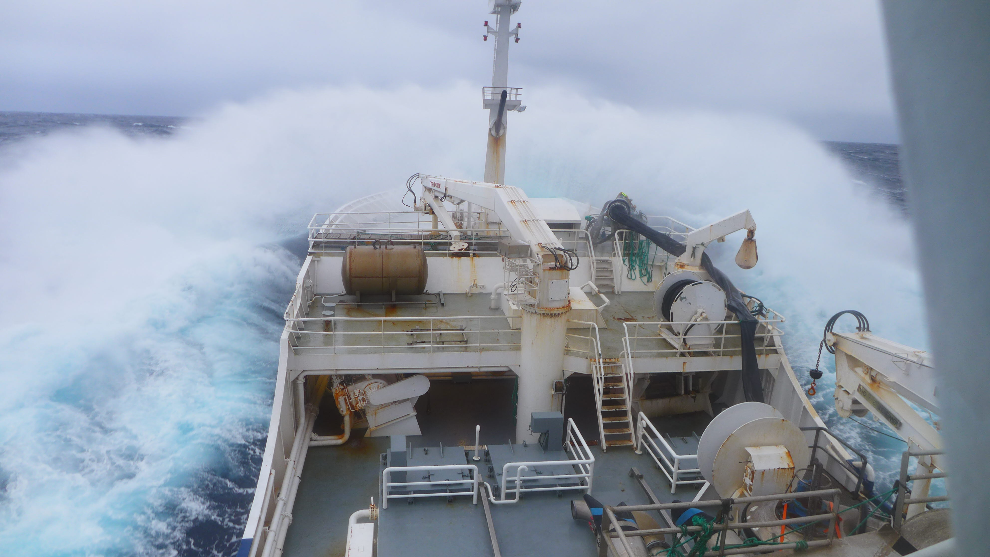 Optimal kjøling av pelagisk fisk ombord (RSW)