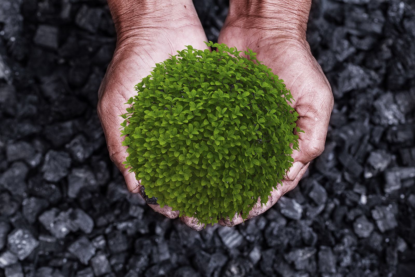 Primary extraction and processing for green value chains