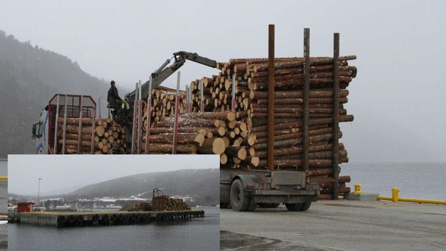 Efficient value chains for the forest industry in Coastal Norway