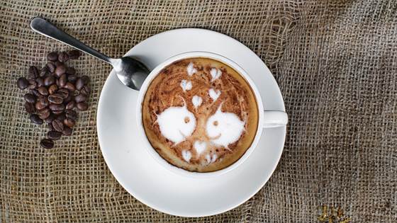 Lavtrofisk morgenkaffe 2024