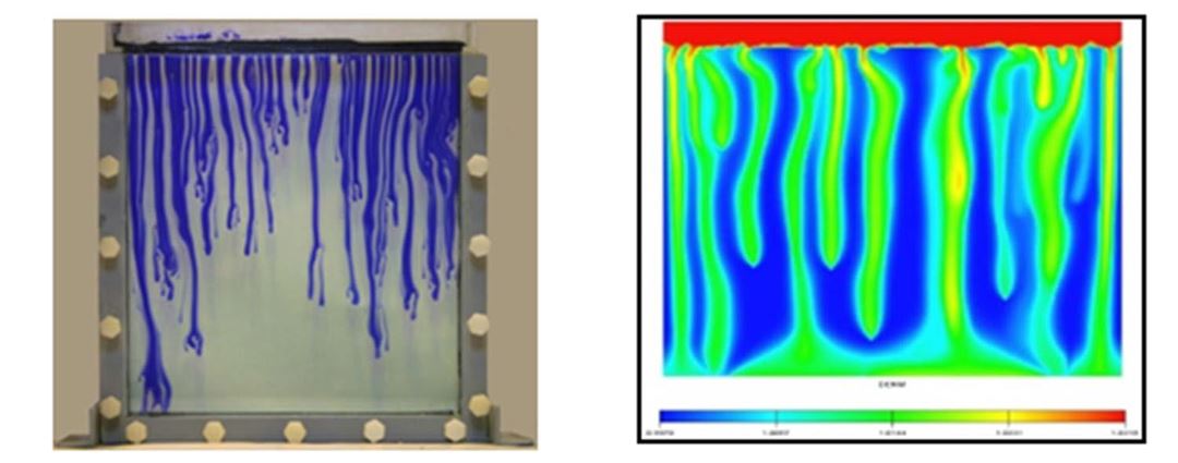 Experiment and simulation of convective mixing