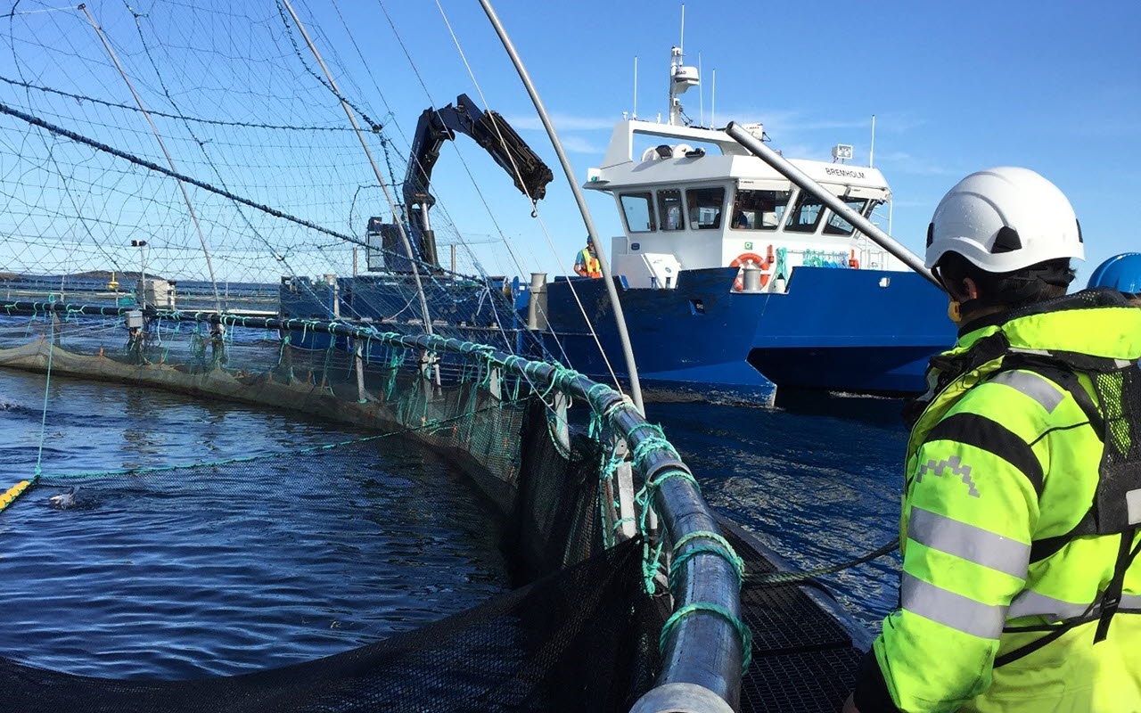 Mann og båt ved merd på oppdrettsanlegg