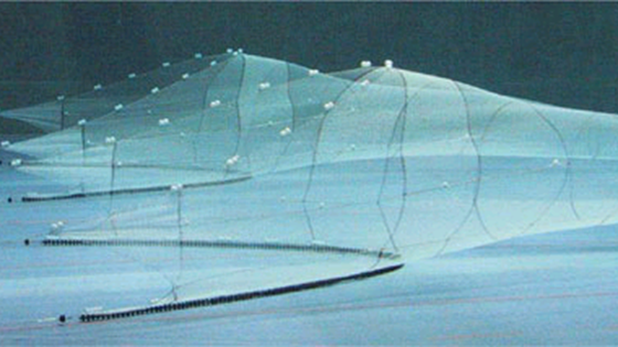 Free selection in fishing gear