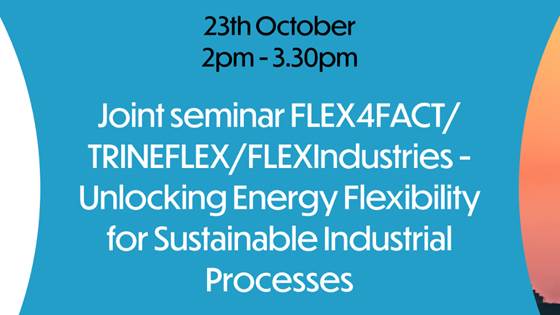 Webinar: Unlocking Energy Flexibility for Sustainable Industrial Processes