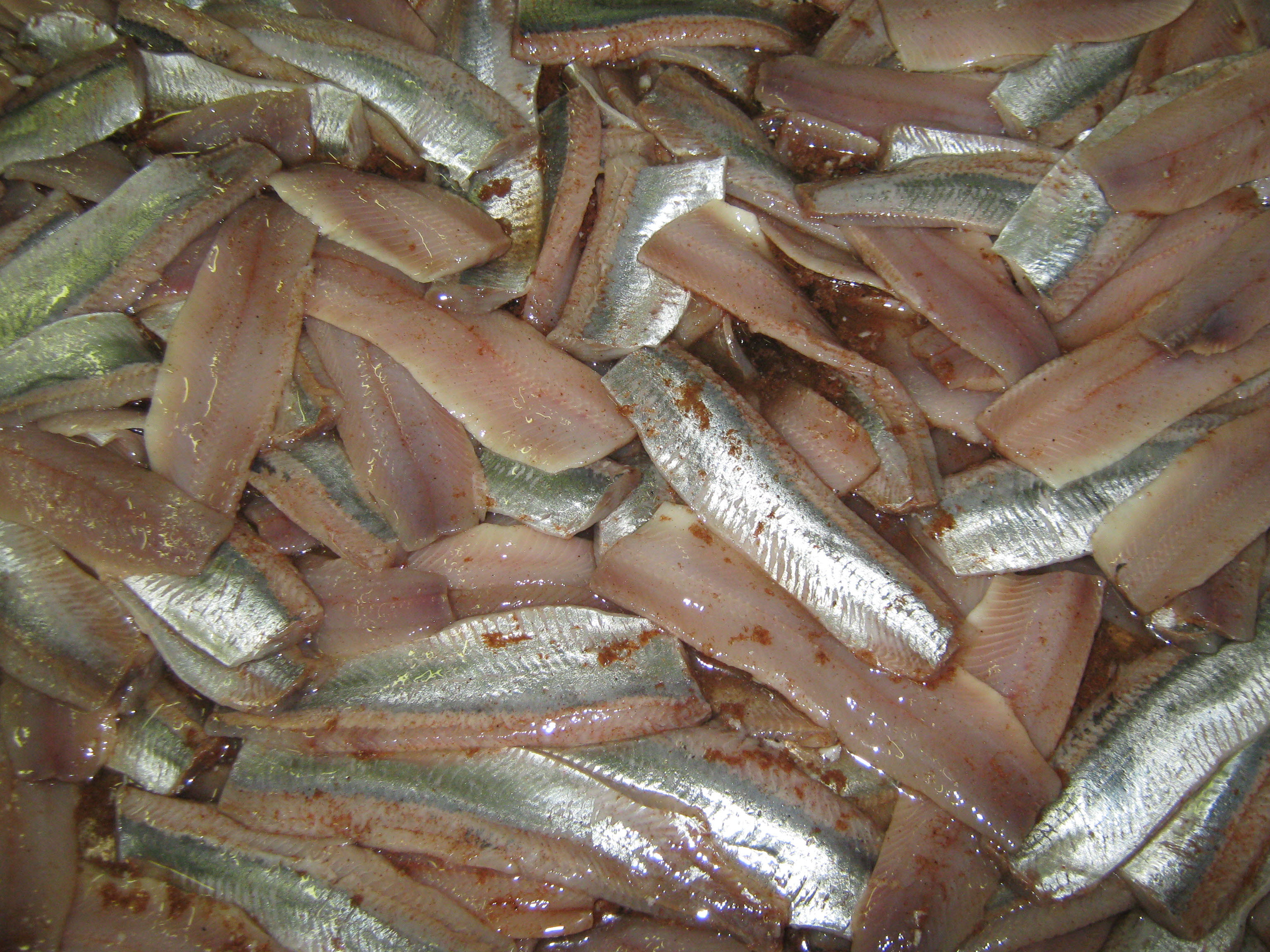 Teknologi for uttak og sortering av restråstoff fra sild 