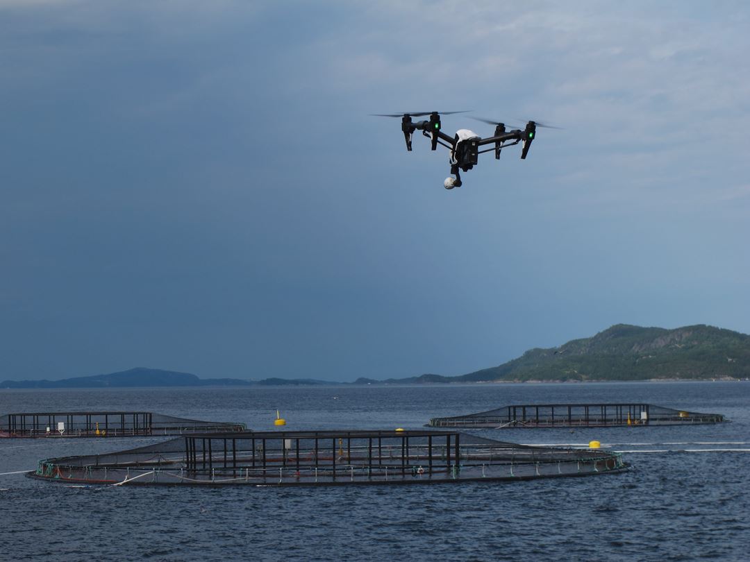 Flygende drone over oppdrettsmerd