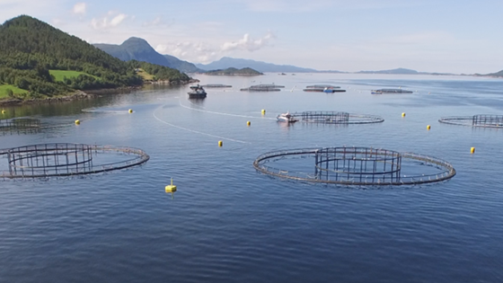 Lansering av Bærekraftportal for norsk havbruk