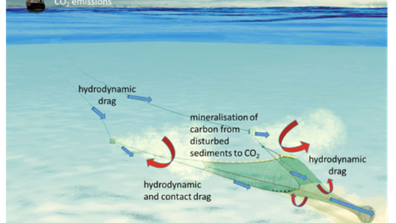 WP1 Review of studies that reduce fuel consumption and seabed contact