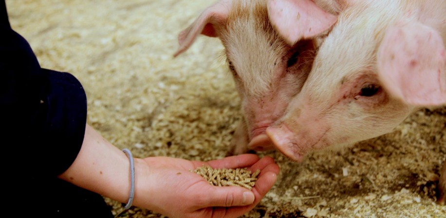 Denne satsingen kan bli en månelanding