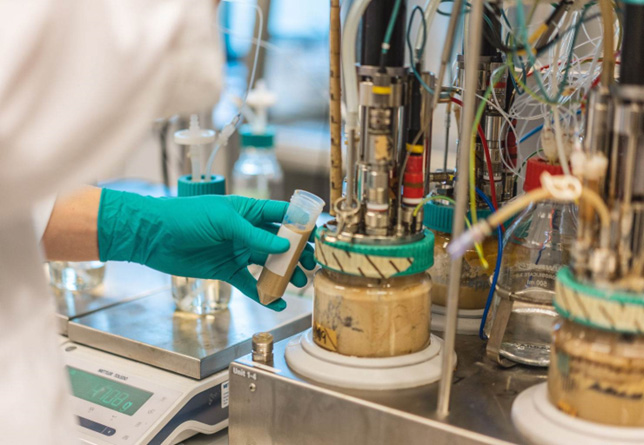 Bioteknologi gir Norge store eksportmuligheter